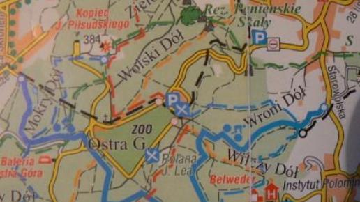 mapka Lasu Wolskiego i szlaków, Katarzyna Jamrozik