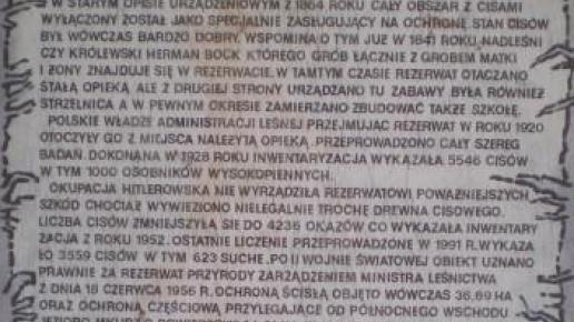 Cisy Staropolskie , Wojciech Grabowski