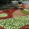 Cieplice - park zdrojowy, Zofia i Jan Grabarczyk