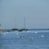 Gdynia Orłowo
