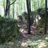 Rezerwat Parkowe, Katarzyna Jamrozik