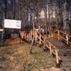 Babice - zamek Lipowiec , Wojciech Grabowski