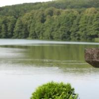 Widok z tarasu zamku Podewils, Wojciech Soroka