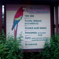 Buków, Ania