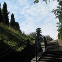 Park w Chełmnie