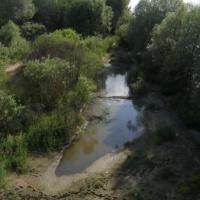 Widok z mostu k/Zakroczymia, lavinka