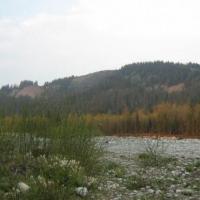 Litwinka, Joanna Bochenek
