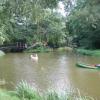 Pszczyna park, Jan Paradowski