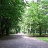 Park Zielona, Marta