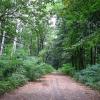 Park Zielona, Marta