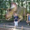 ZAUROLANDIA, Darek