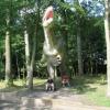 ZAUROLANDIA, Darek