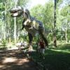 ZAUROLANDIA, Darek