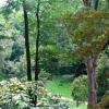 Korzkiewski Park Kulturowy