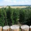 Jura z Góry Birów