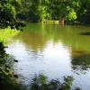 Zabytkowy Park Pszczyński