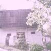 , Wanda Kocur