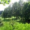 Park w Korzkwi