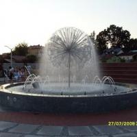 , Ania