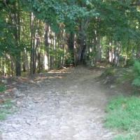 , Jan Paradowski