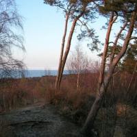 , Kuba Terakowski