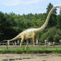 ZAUROLANDIA, Darek