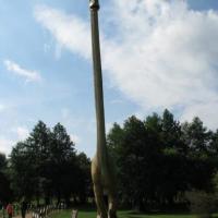 ZAUROLANDIA, Darek