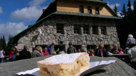 SZARLOTKA GĄSIENICOWA, Kuba Terakowski