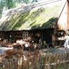 BISKUPIN - ZAGRODA PAŁUCKA, Darek