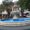 Wadowice, Darek