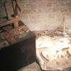 Muzeum Bursztynu, Darek