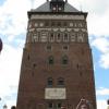 Gdańsk, Darek