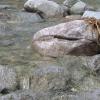 w drodze na Morskie Oko, gaba