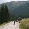, Teresa Nowak
