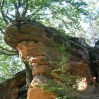Rezerwat Skałki Piekło koło Niekłania, Kuba Terakowski