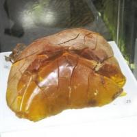 Muzeum Bursztynu, Darek