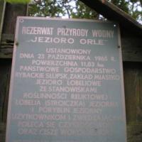 Jezioro Orle , Wojciech Grabowski