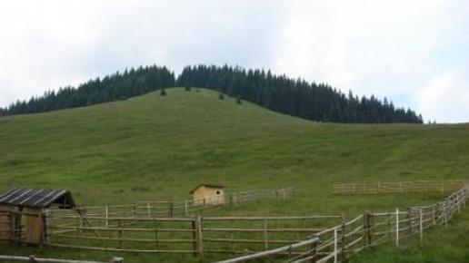 Tuż przed Rusinową Polaną, Agnieszka