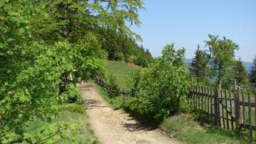 Czerwonym szlakiem na Grabową, Agnieszka