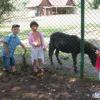 W oliwskim ZOO, Wojciech Soroka