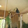 W oliwskim ZOO, Wojciech Soroka