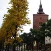 kościół Mariacki w Słupsku, Wojciech Soroka
