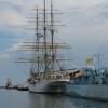 Port w Gdyni, Darek