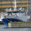 Port w Gdyni, Darek