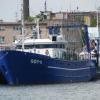 Port w Gdyni, Darek