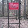 Wąwóz Myśliborski, Darek