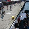 Port w Gdyni., Darek