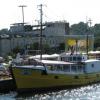 Port w Gdyni., Darek