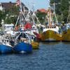 Port Rybacki w Jastarni., Darek