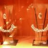 Trofea zdobyte przez Adama Małysza, Darek